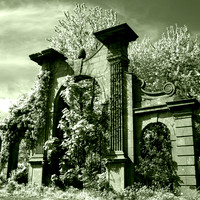 The Gate