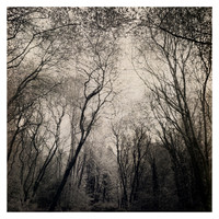 Otherworld